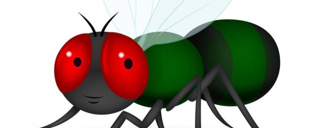 消滅蒼蠅最有效的方法 有什麼方法可以消滅蒼蠅