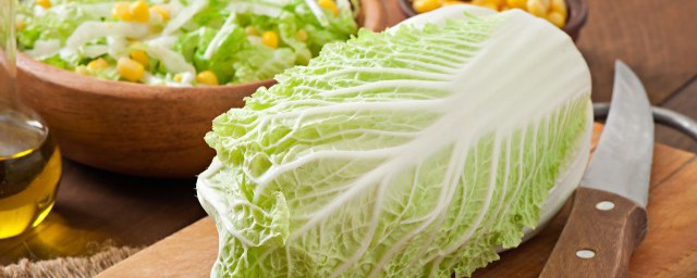 白菜種植方法 如何種植白菜