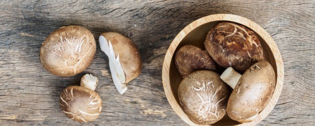 香菇怎麼吃 香菇的簡單吃法
