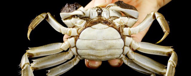 螃蟹怎麼能保存時間長 螃蟹能保存時間長的方法
