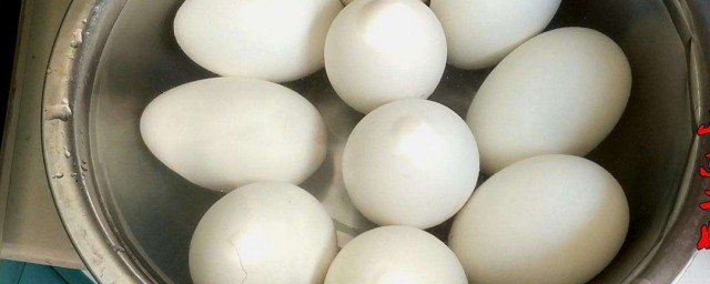 鵝蛋怎麼保存 鵝蛋保存的方法