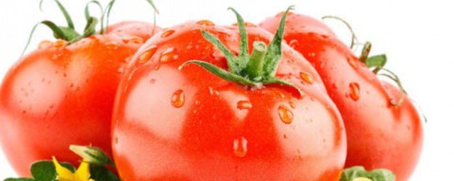 西紅柿傢居種植方法 西紅柿如何居傢種植