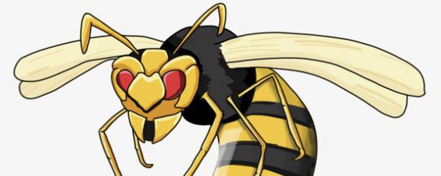 消滅黃蜂最好方法 消滅黃蜂最好方法介紹