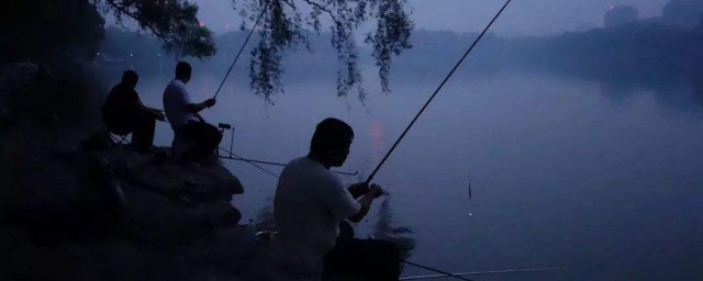 深秋夜釣正確方法 深秋如何夜釣