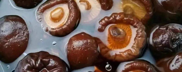 香菇要怎麼洗 香菇的正確清洗方法