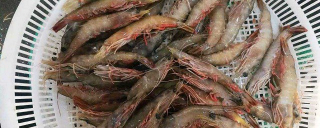 鮮蝦短期保存方法 新鮮蝦如何保存