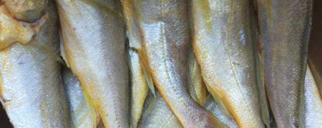 黃花魚幹的醃制方法 醃制黃花魚幹的方法