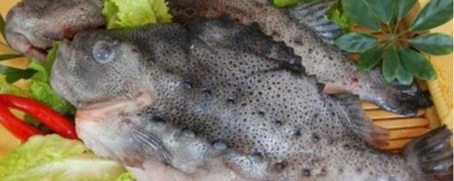 海參斑魚的烹飪方法 海參斑魚的做法