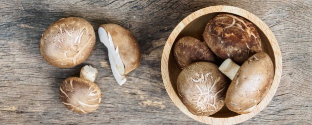 新鮮猴頭菇怎麼保存 怎麼保存猴頭菇比較新鮮