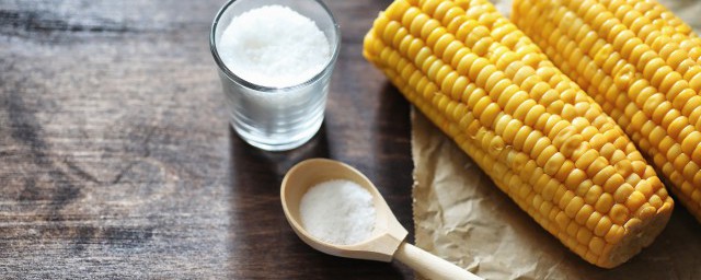 新鮮嫩玉米怎麼保存 新鮮嫩玉米如何保存