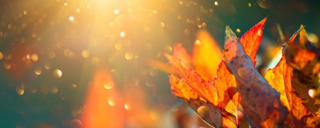 贊美秋天的句子簡短 秋天是最唯美的季節