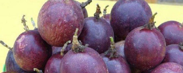 紫色百香果種植方法 紫色百香果種植方法介紹