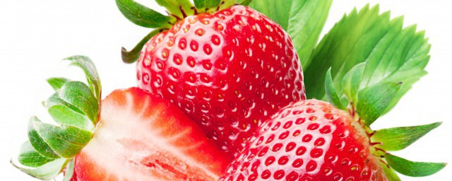 草莓的種植方法及時間 草莓怎麼種植