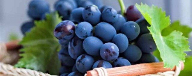 收藍莓的方法 不同品種不同方法嗎