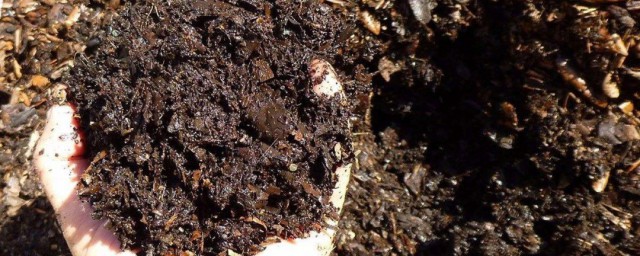 最快制作腐葉土的方法 怎麼制作腐葉土