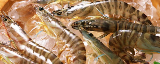 鮮蝦保存方法 鮮蝦怎麼保存