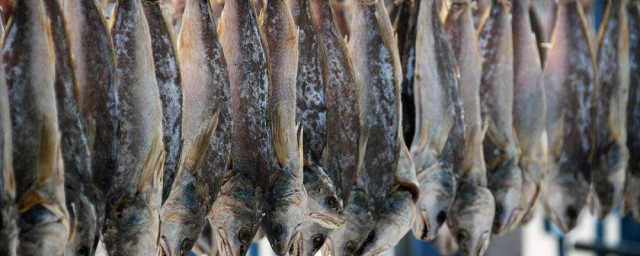 曬幹的魚怎麼保存最好 曬幹的魚保存方法介紹