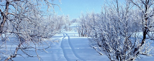 形容雪景的優美句子 描寫雪景的優美句子
