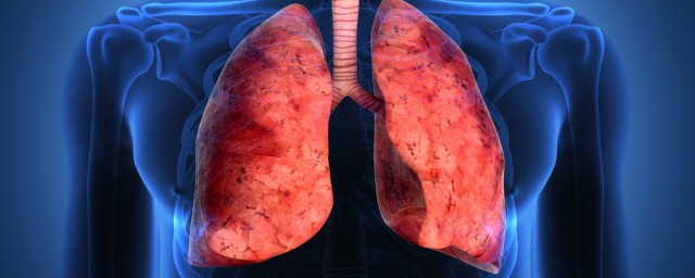 提高肺功能最有效方法 有什麼運動可以改善肺部功能