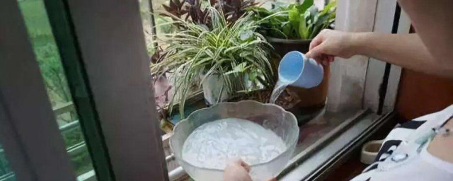 牛奶澆花的正確方法 過期牛奶怎麼澆花