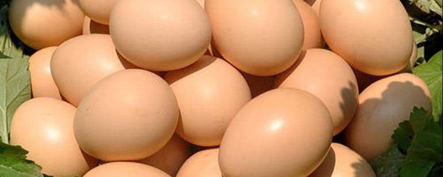 雞蛋如何保存3個月不壞 雞蛋保存3個月不壞方法介紹