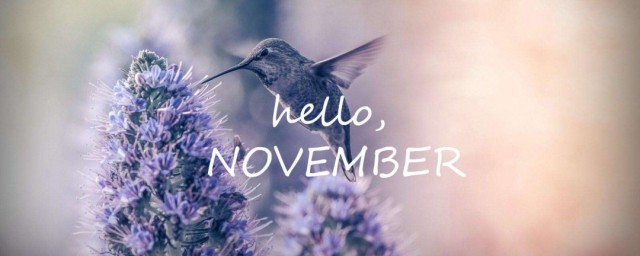 關於十一月的祝福語句 關於十一月的祝福語句分享