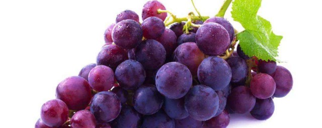葡萄怎樣保鮮存放 葡萄的介紹