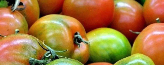 沒熟的青西紅柿能吃嗎 沒熟的青西紅柿是否能吃