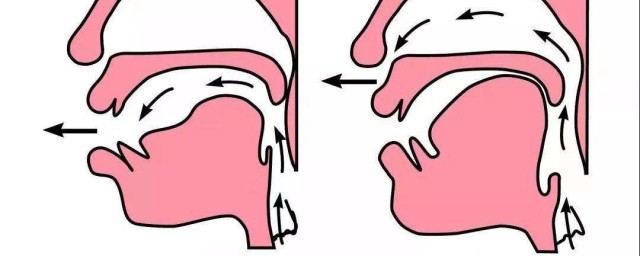 怎麼正確區分前後鼻音 正確區分前後鼻音發音介紹