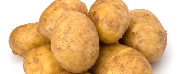 土豆什麼時候種 土豆種植時間
