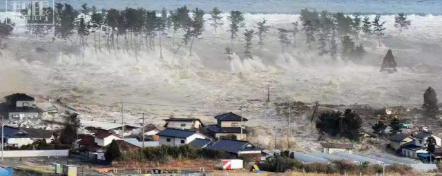 世界海嘯日是什麼意思 世界海嘯日介紹