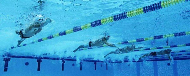 高效遊泳技巧 如何高效學習遊泳