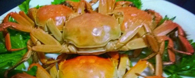 什麼螃蟹不能吃 不能吃的蟹列述
