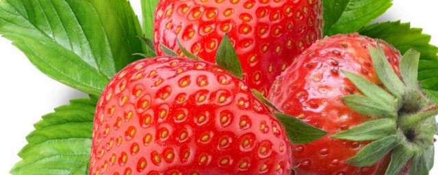 草莓什麼季節 草莓是什麼季節的水果