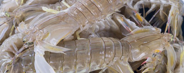 皮皮蝦煮多久 皮皮蝦蒸多長時間能熟