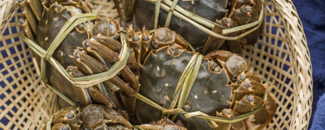 螃蟹怎麼養殖方法 放苗密度在多少合適