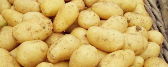 新土豆怎麼保存方法 新土豆保存方法是什麼