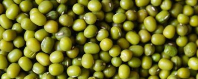 綠豆種植方法 綠豆如何種植