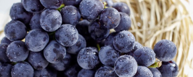 葡萄的種植方法和技術 葡萄怎麼種植