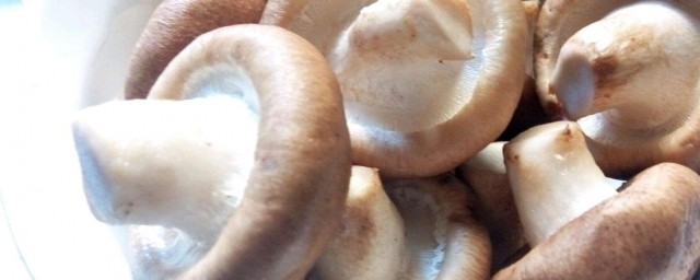 香菇怎麼洗 香菇洗的方法