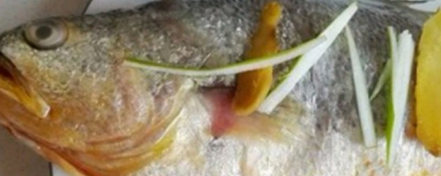 蒸青黃魚怎麼做 蒸青黃魚如何做