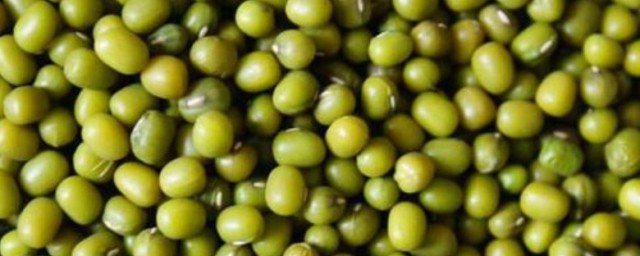 綠豆的種植方法 綠豆如何種植
