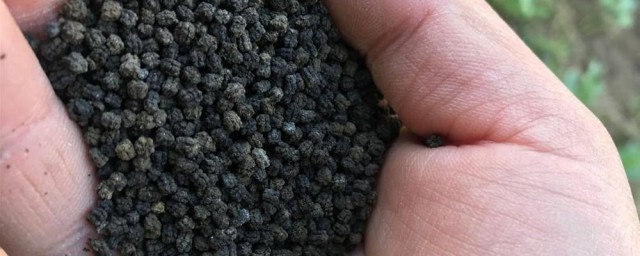 蠶沙肥的使用方法 怎麼使用蠶沙肥