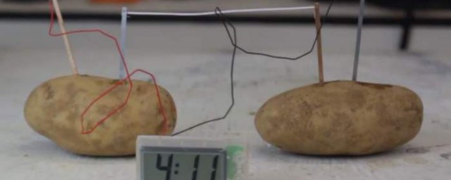 如何做土豆電池實驗 土豆電池實驗方法
