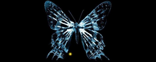 蝴蝶效應是什麼 怎麼解釋蝴蝶效應