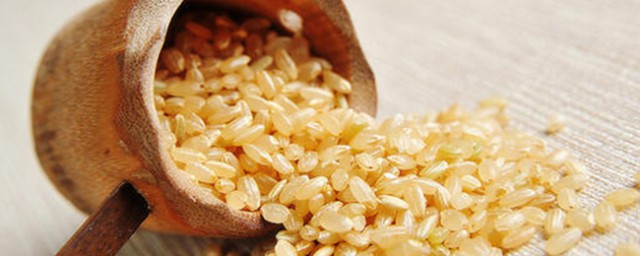 什麼是糙米 糙米的介紹