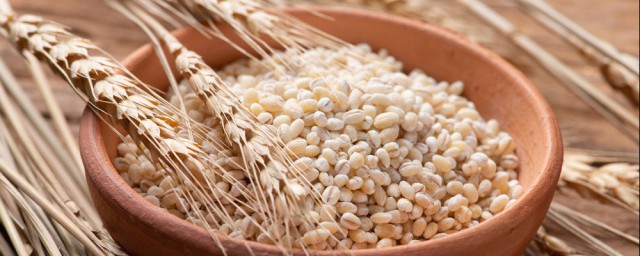 黍米是什麼米 黍米有什麼營養
