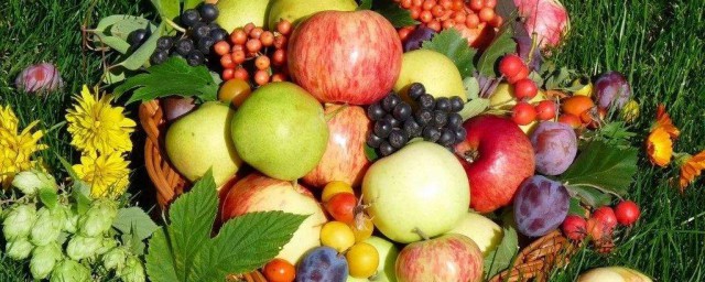 富含維生素c的水果有哪些 富含維生素c的三種水果介紹