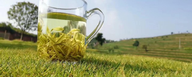 黃金芽是什麼茶 黃金芽屬於什麼茶