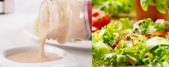 蔬菜沙拉用什麼沙拉醬 蔬菜沙拉需要用到哪些沙拉醬